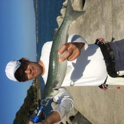 今日は、ぼらを吸い込みでゲット＾＾口太クロもゲット。